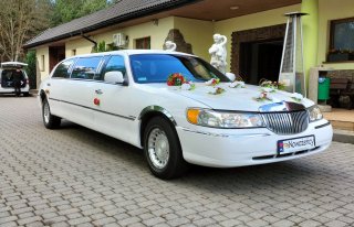 Limuzynarypin kujawsko-pomorskie