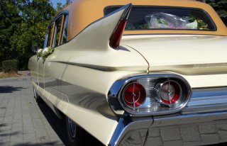 Cabriolet Eldorado, Cadillac Fleetwood, Mathis