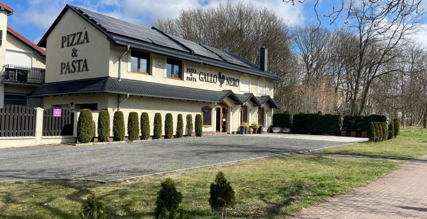 Gallo Nero - Zielona Góra 