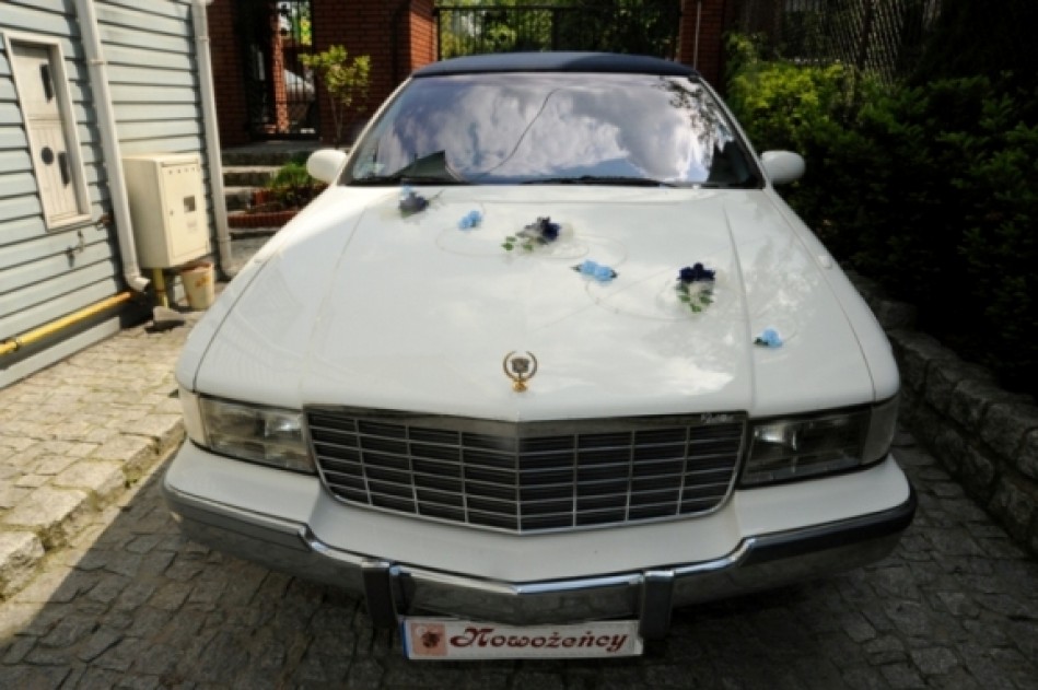 Luksusowy samochód - Auto do ślubu Łódź