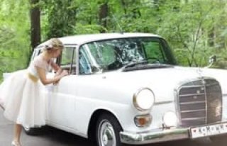 Mercedes W110 "Skrzydlak" 