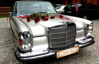 Auto do ślubu zabytkowy Mercedes W108 