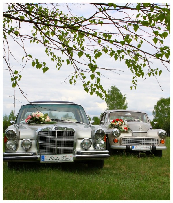 Samochody Retro Do Ślubu Warszawa, Mercedes z lat 60