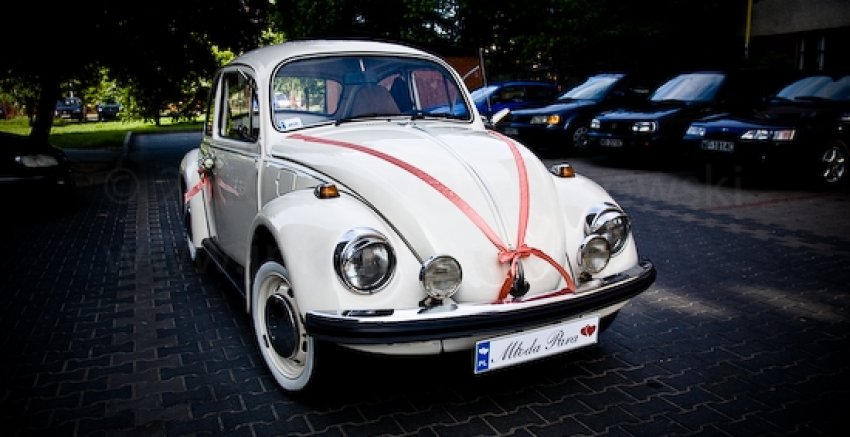 Garbus do ślubu , na wesele... - Warszawa