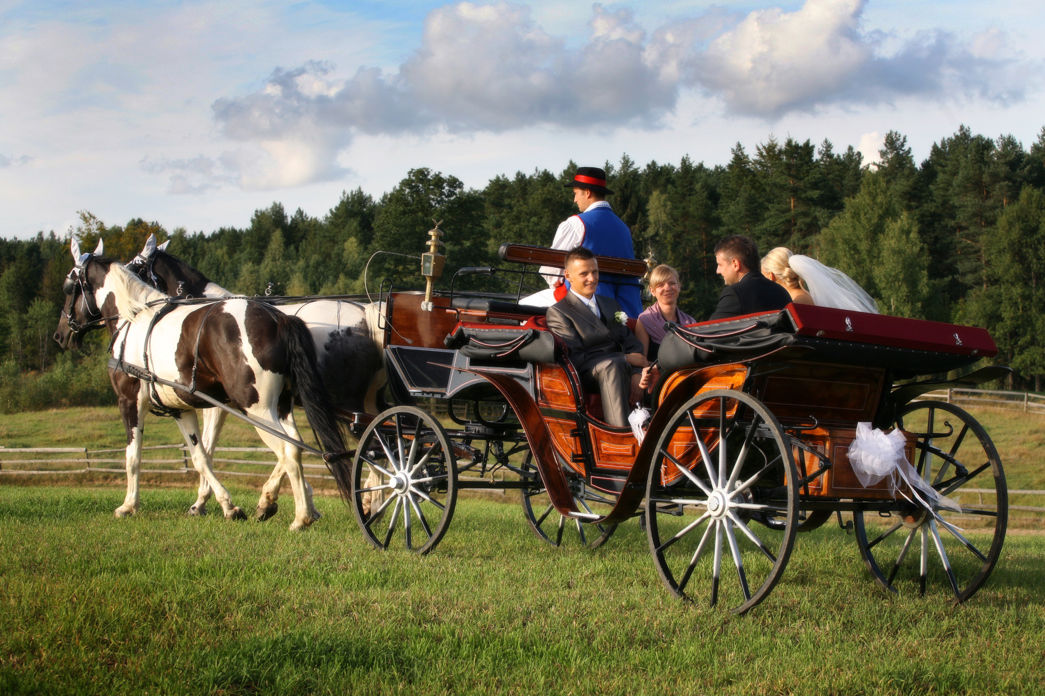 Bryczka Wraz Z Koniem Krzyżówka Karoca Ślubna,Bryczka do ślubu - Auto do ślubu Wieżyca