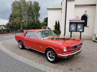 Mustang 1966 do ślubu  Bielsko-Biała