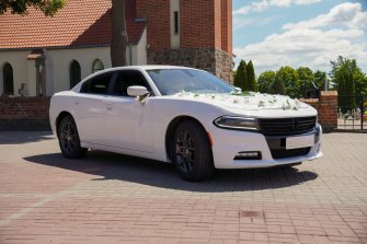 Biały Dodge Charger V6 na ślub Toruń