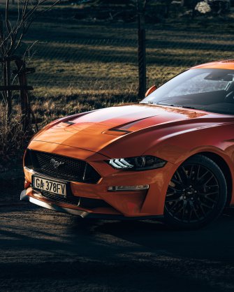 Poprowadź Mustanga do ślubu z Black Horses Car Club Gdynia