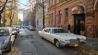 Dekoracja - Białe róże Bydgoszcz