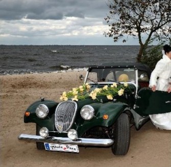 Moss 3 Gdynia