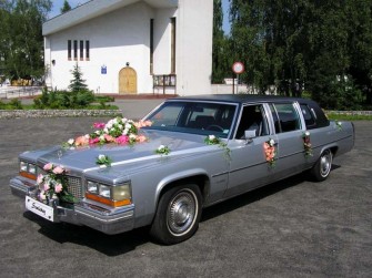 Afekt-Limo Robert Badowski Szczecin