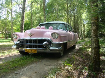 Cadillac z 1955 r. Wyjątkowe auto do ślubu! Ryn