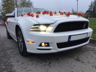 Mustang do ślubu Rabka-Zdrój