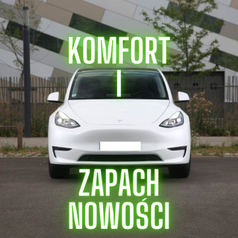  Kolekcjonerskie Aston Martin Maserati Ford Mustang oraz Tesla Y   Mysłowice