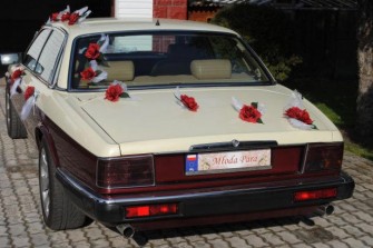 AUTO DO SLUBU - JAGUAR KLASYK - DO 200km OD RADOMIA - 400zł Radom