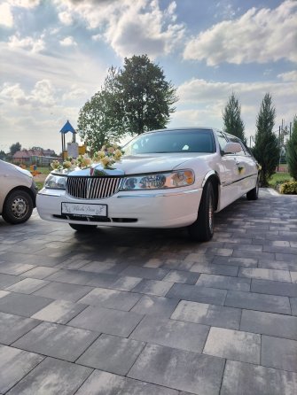 Limuzynarypin kujawsko-pomorskie Rogowo 