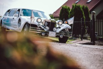 Excalibur, nestor  MUSTANG MERCEDES BMW X6 Kościerzyna