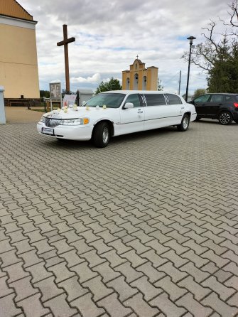 Limuzynarypin kujawsko-pomorskie Rogowo 