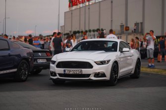 FORD MUSTANG od 650 PLN Lublin