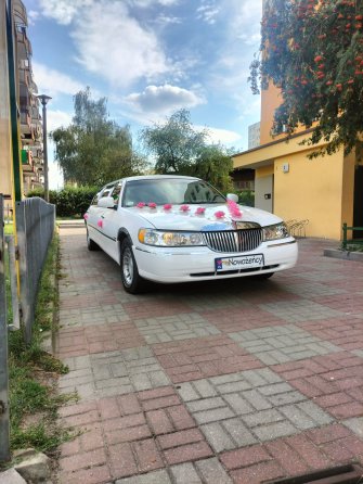 Limuzynarypin kujawsko-pomorskie Rogowo 