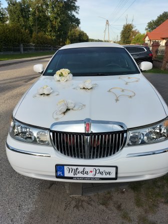 Limuzynarypin kujawsko-pomorskie Rogowo 