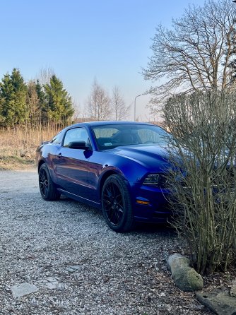Ford Mustang 2013 Base Deep Impact Blue Gdańsk