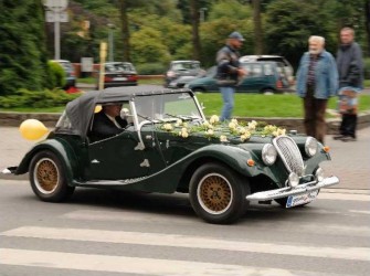 Moss 4 Gdynia