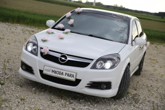 Vectrą na ślub Kutno