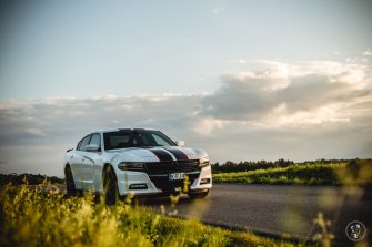 Biały Dodge Charger SXT Krzeszowice