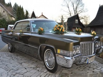 KWIACIARNIA - SALONIK KWIATOWY KASIA Cieszyn