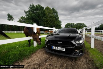 Mustang V8 5.0L wesela Katowice