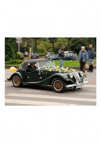 moss roadster Gdynia