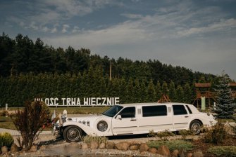 Excalibur, nestor  MUSTANG MERCEDES BMW X6 Kościerzyna