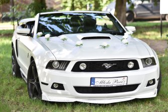 Excalibur, nestor  ford mustang mercedes cabrio  Kościerzyna