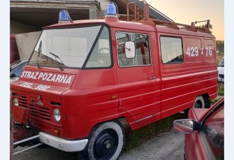 jeden z zukow jako glowny przyklad Lębork
