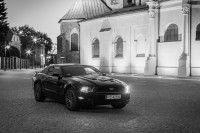 Czarny Mustang Poznań
