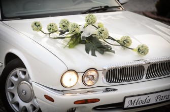 Perłowy Jaguar Samochód do Ślubu - wynajem Skawina