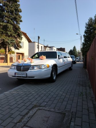 Limuzynarypin kujawsko-pomorskie Rogowo 