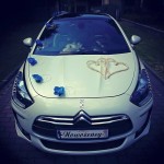 WhiteDs5 Bielsko-Biała