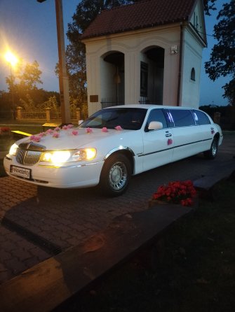 Limuzynarypin kujawsko-pomorskie Rogowo 