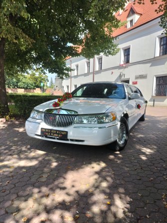 Limuzynarypin kujawsko-pomorskie Rogowo 