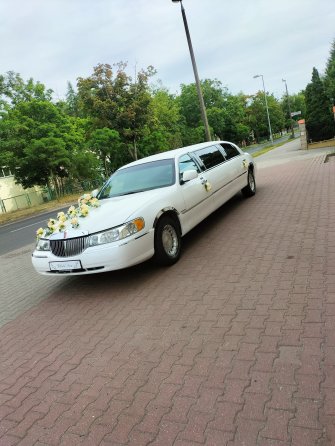 Limuzynarypin kujawsko-pomorskie Rogowo 