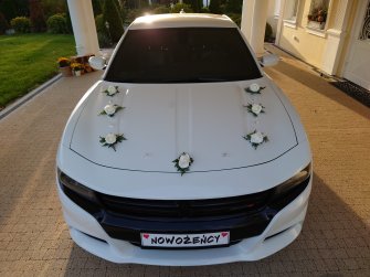 Chrysler 300C 300S 200S CABRIO Dodge CHARGER - Auto Samochód do Ślubu Warszawa