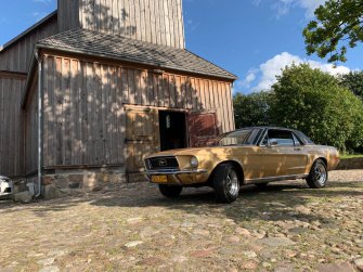 Mustang złoty Gdańsk