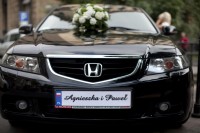 ACCORD-LIM Ostrowiec Świętokrzyski