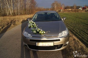 CITROENEM C5 DO ŚLUBU Łódź