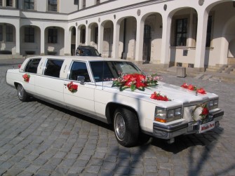 Afekt-Limo Robert Badowski Szczecin