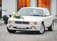 Perłowy Jaguar do wynajęcia Kraków