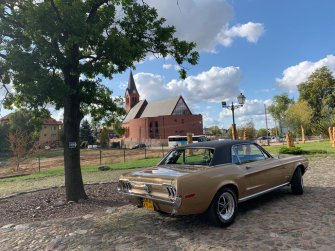 Mustang złoty Gdańsk