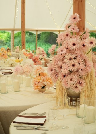 Pałac Żółwin - wesela w plenerze